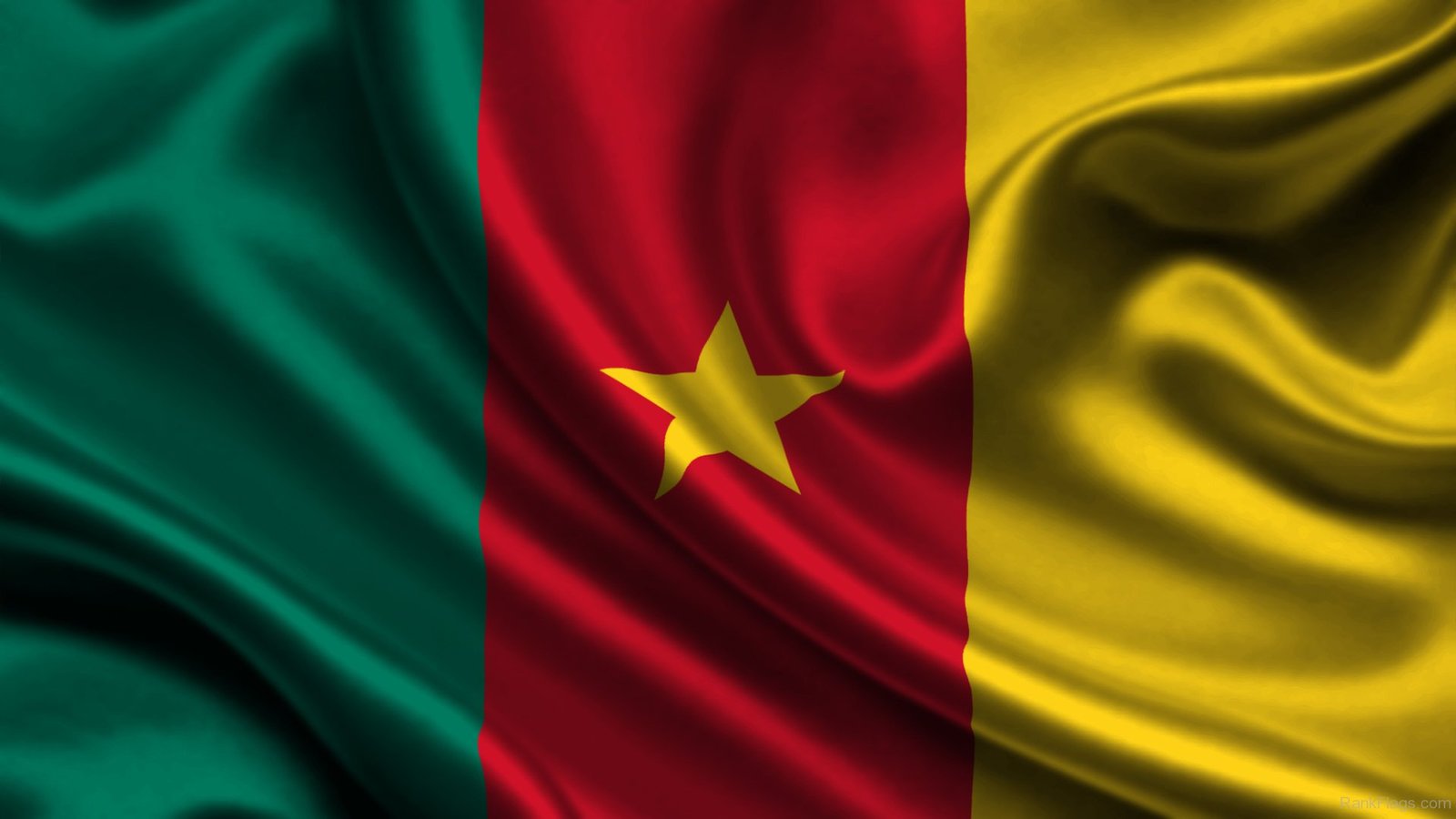 National Flag Of Cameroon RankFlags Collection Of Flags
