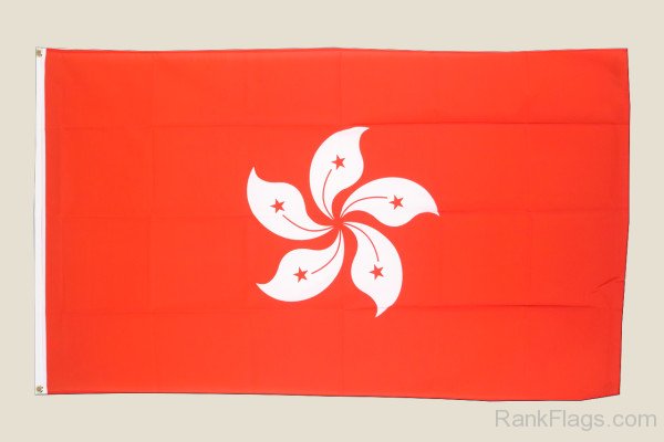 Picture Of Hong Kong Flag