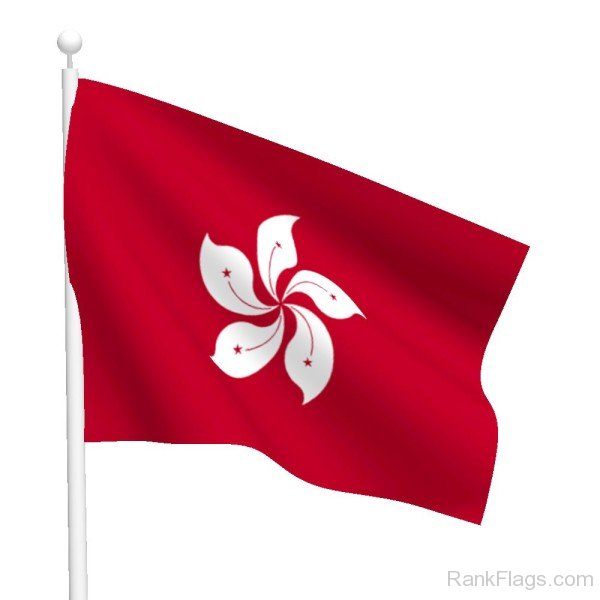 Waving Hong Kong Flag