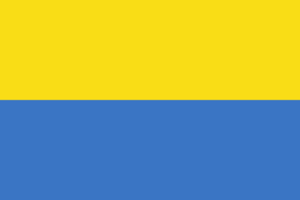 Flag Of Ukraine -1917