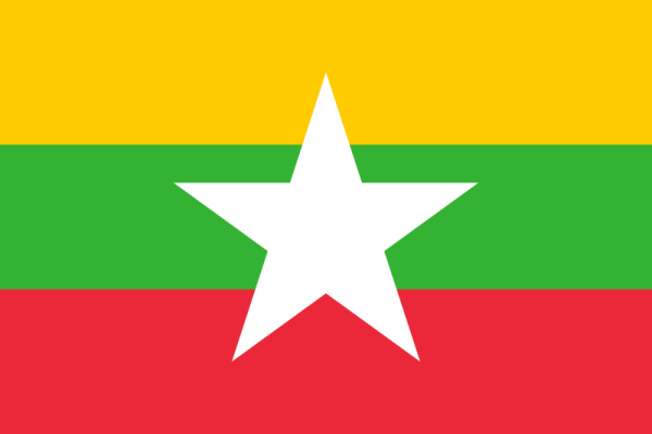 Flag Of Burma -2010