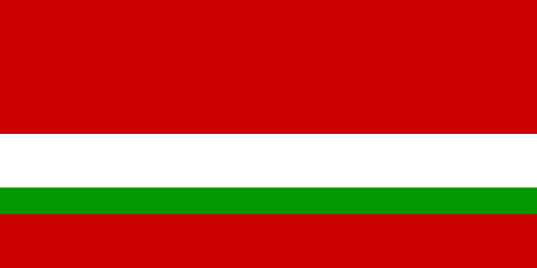 Flag Of Tajikistan -1991