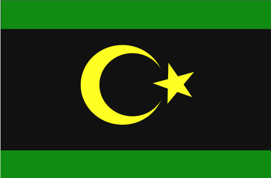 Flag Of Turkmenistan -1917