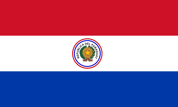 Flag Of Paraguay -1988