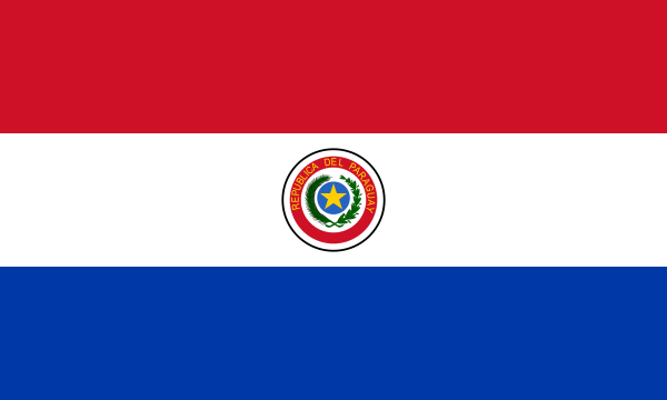 Flag Of Paraguay -1991