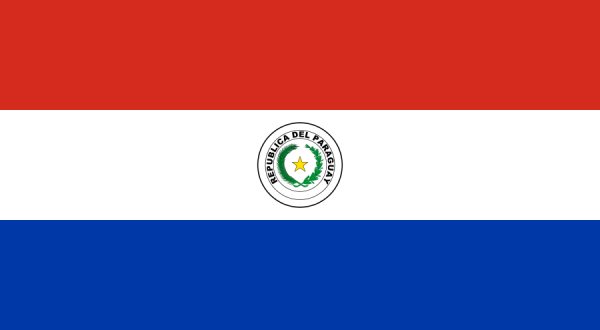 Flag Of Paraguay -2013